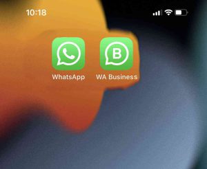 install dual whatsapp on iphone