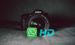 send hd photos videos using whatsapp