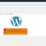 Wordpress error message